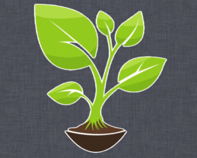 Proceso y realidad, pt. 6/7